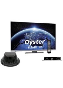 Ten Haaft Oyster Access inkl. Smart TV 24" (61cm)