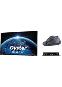TenHaaft Oyster Connect Vision LTE/WiFi Antenne inkl. Smart TV 24" (61cm)