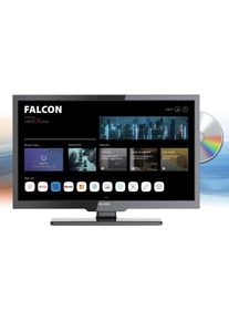 Falcon WebOS SMART Camping TV 19" (47cm), DVD, HD-Ready, Wifi, BT 5.0, Triple Tuner S2/T2C