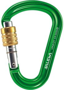 Salewa HMS PRO Karabiner, grün