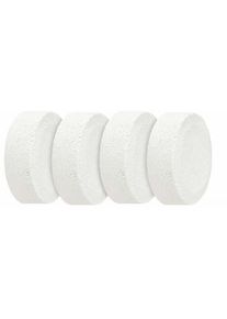 Wenko Feuchtigkeitskiller Nachfüllpack, 250g, 4er Pack