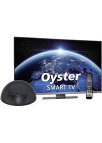 TenHaaft Oyster V1-45 Easy Net inkl. Smart TV 27" (69cm)