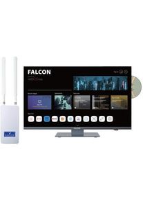 Falcon WebOS SMART Combo Camping TV 22" (55cm), DVD, HD-Ready, BT 5.0 mit 4G Router