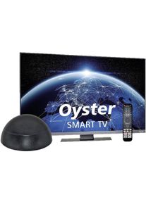 TenHaaft Oyster V1-45 Easy Net inkl. Smart TV 24" (61cm)