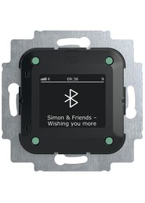 BUSCH-JAEGER 8217 U-101 Busch-Radio BTconnect DAB+. Bluetooth (2CKA008200A0278)