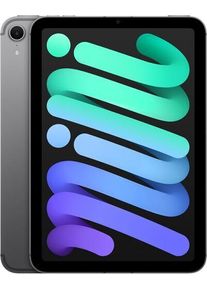 Apple iPad mini (2024) | 8.3" | 128 GB | rymdgrå | 5G