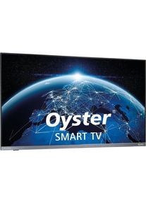 TenHaaft Oyster Smart LED-TV 24" (61cm), DVB-S2/T2, WiFi, USB 2.0, Bluetooth 5.1