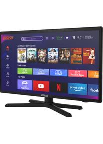 Selfsat Smart LED-TV 1224, 24“(60cm), Wlan, Bluetooth, Full-HD