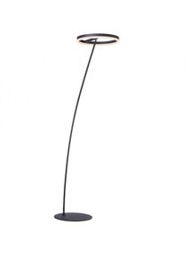 Paul Neuhaus Stehleuchte, anthrazit, warmweiß, dimmbar, IP20, 3000 Kelvin, 19W, 2570lm (381-13)