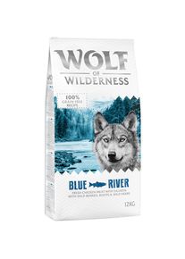 2x12 kg Blue River saumon Lots économiques Wolf of Wilderness Croquettes pour chien