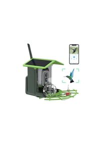 HD Solar Bird Feeder Camera - Optional SD Cards!