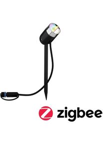 Paulmann Licht Paulmann Plug & Shine LED Gartenstrahler Smart Home Zigbee Pike Einzelspot IP65 RGBW+ 4,5W, anthrazit (94283)