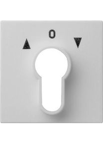 GIRA 0664015 Abdeckung für Schlüsselschalter und Schlüsseltaster, System, 55, grau matt