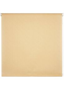 Domoletti, Vorhang, ROLLER BLIND SHANTUNG 877 80X170 (45 x 95 cm)