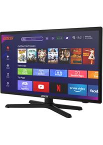 Selfsat Smart LED-TV 1222, 22“(56cm), Wlan, Bluetooth, Full-HD