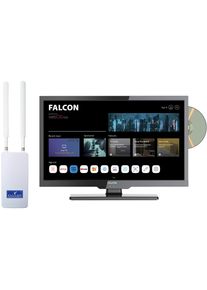 Falcon WebOS SMART Combo Camping TV 19" (47cm), DVD, HD-Ready, BT 5.0 mit 4G Router