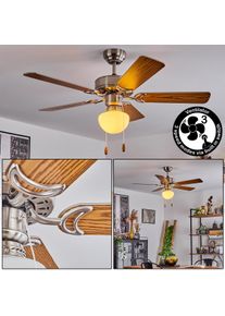 hofstein Ventilateur de plafond Apiao Brun, Couleur bois, Argenté, 1 lumière