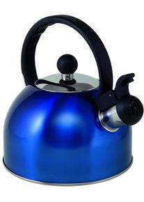 Via Mondo Fl&ouml;tenkessel, Edelstahl, 1,5L, blau