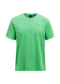 Peak Performance Explore Logo Tee T-shirt Heren (M |groen)