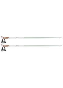 Leki Passion Nordic walking poles (100 cm, smokegreen /grey)