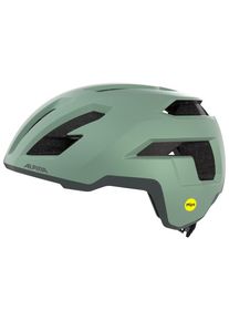 Alpina Taunus Gravel Mips Bike helmet (59-61 cm, multi)
