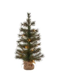 Sirius, Weihnachtsbaum, Alvin (60 cm)