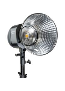 WALIMEX pro Newcomer 100 II Set Single (100 W, Set), Studioblitz, Schwarz