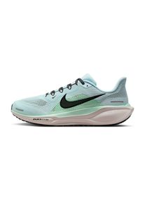 Nike Pegasus 41 Homme