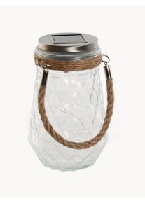 Detall Item Dekoracja LED Campsis Transparentny 11 x 11 x 18 cm