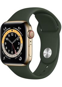 Apple Watch Series 6 Acciaio inossidabile 40 mm (2020) | oro | Cinturino Sport Cipro verde