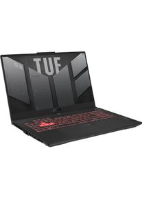 ASUS TUF Gaming A17 RTX 4050 (17.30", AMD Ryzen 7 7435HS, 16 GB, 1000 GB, DE), Notebook, Grau