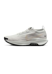 Nike Pegasus Trail 5 GTX Homme