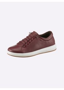 Andrea Conti Damen Sneaker in burgund ,Größe 36, Witt, 100% Rindsleder