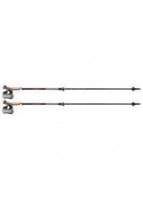 Leki Instructor Lite Nordic walking poles (100-125 cm, grey/red)