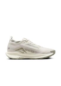 Nike Herren Pegasus Trail 5 GTX grau 44.5