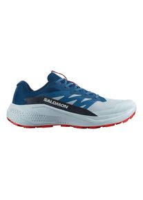 Salomon Herren Alphaglide blau 47.3