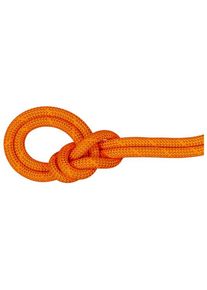 Mammut 9.8 Crag Dry Rope Single rope (50 m, orange)