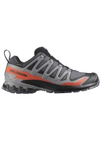 Salomon XA Pro 3D V9 Wide GTX Multisport shoes Men (47 1/3, grey)