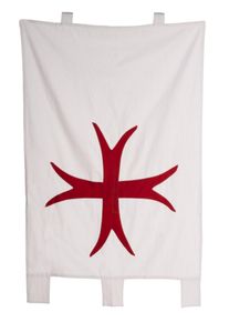 maskworld Banner - Crusader