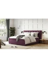 Mid.you Boxspringbett , Violett , Textil , teilmassiv , H2 + H3 , Höhe ca. 20 cm , 160x200 cm , Fsc , gepolstertes Kopfteil, Stoffauswahl, in verschiedenen Größen erhältlich, Matratzenauswahl, Härtegradauswahl , Schlafzimmer, Betten, Boxspringbetten