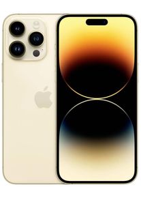 Apple iPhone 14 Pro Max 6,7" Smartphone Handy 256GB 48MP Dual SIM iOS gold