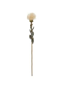 Present Time, Kunstpflanzen, Protea Flower Large (73.10 cm)