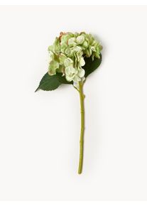 Bloomingville Flor artificial Hortênsia Verde Material sintético, Fibra sintética C 36 cm