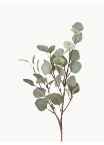 Boltze Ramo decorativo de eucalipto Verde Material sintético C 69 cm