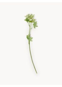Bloomingville Flor artificial de funcho Verde Material sintético C 66 cm