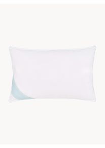 Páperový vankúš Comfort, pevný Biela Perie Š 50 x D 80 cm | Westwing Collection