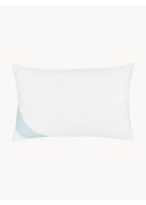 Páperový vankúš Comfort, mäkký Biela Perie, Páperie Š 50 x D 80 cm | Westwing Collection