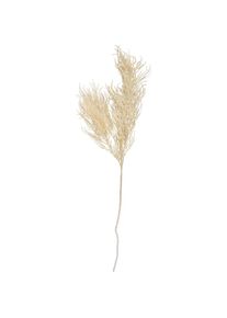 Present Time, Kunstpflanzen, Asparagus Fern Stem (86.40 cm)