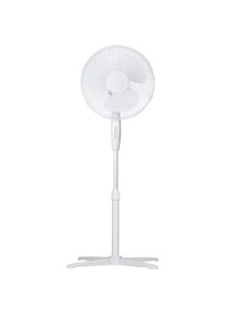 Lifetime Air Fan Standing, Ventilator