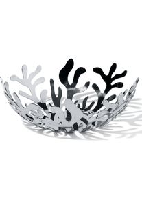 Mediterraneo Coupe à fruits ESI01/21 Alessi